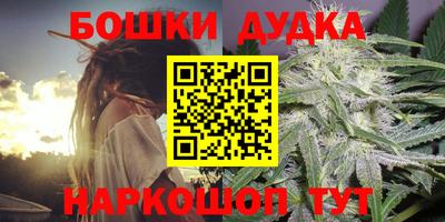 стаф Донской